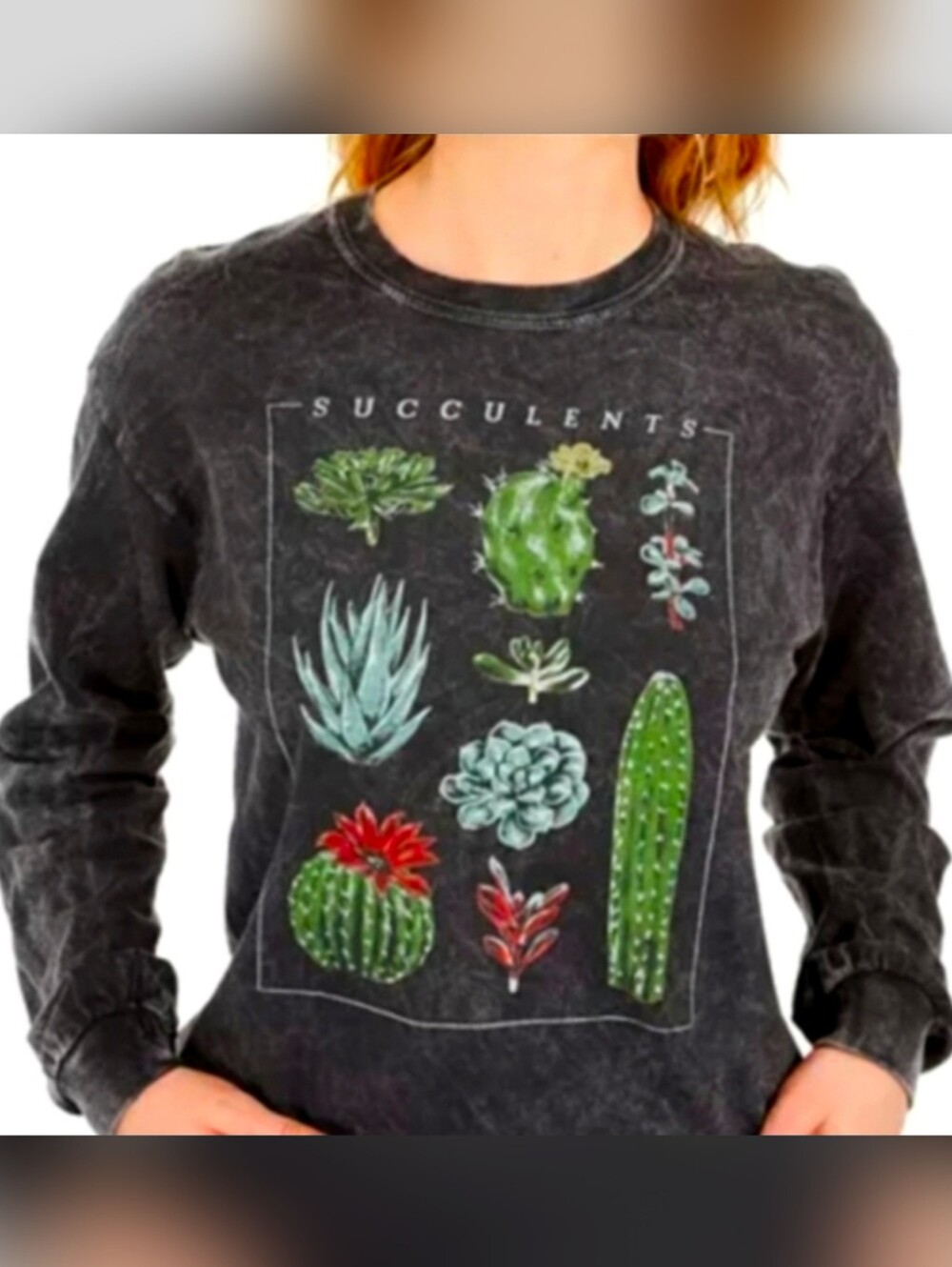 True Vintage Cactus Succulents Desert Plants Longsleeve Tee Gray, S